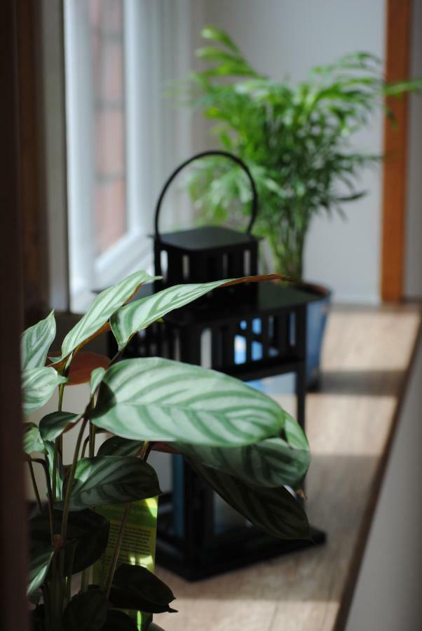 Ferienwohnung An Der Gramme Niederzimmern 외부 사진